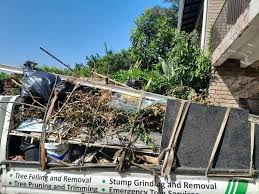 Best Hoarding Cleanup  in Marion, KY